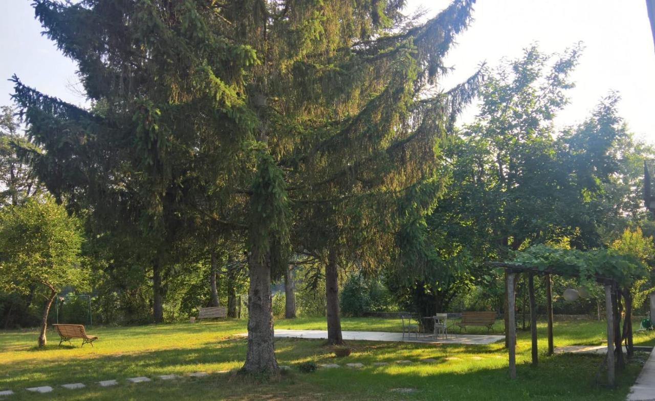 Langhe Di Liguria B&B Piana Crixia Eksteriør billede